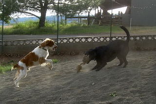 Odie and Maggie