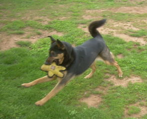 Sadie Wants to Play