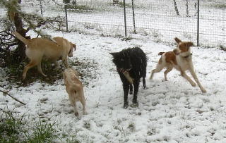 Snow in late March!